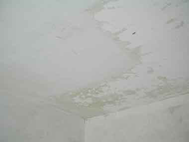 foto_1.jpg