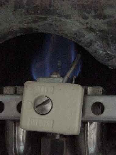 close-up.jpg