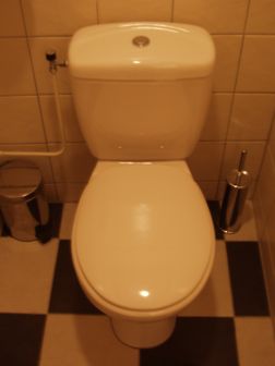 toilet.jpg