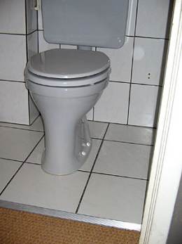 toilet.jpg