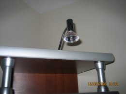 lamp-1.jpg