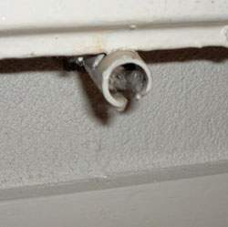 radiator.jpg