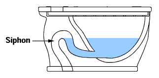 toiletsifon.gif