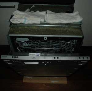 vaatw-3.jpg
