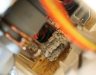 motor-2.jpg