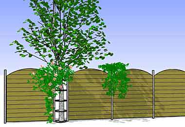 schutting-rond-boom.jpg