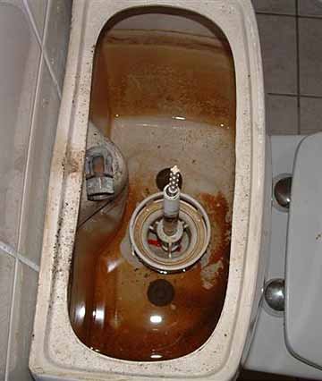 wc-1.jpg