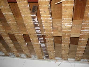 plafond.jpg