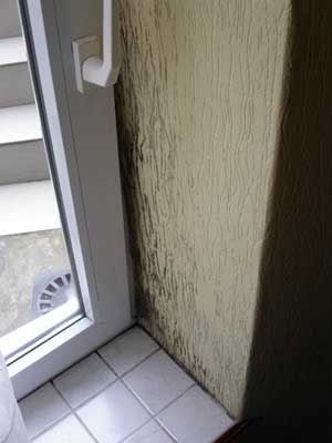 foto-3.jpg