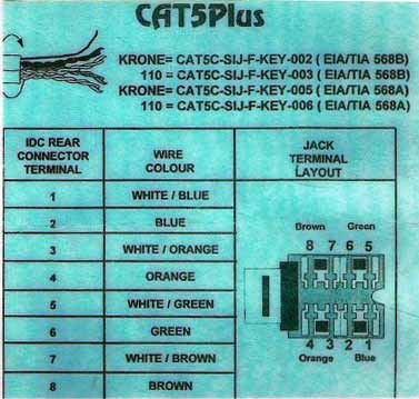 cat-5.jpg