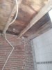 IMG_20200615_132003.jpg