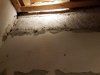 toilet4.jpeg