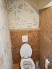 toilet5.jpeg