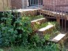IMG_20200613_104737.jpg