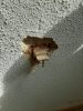 20200707_100805.jpg