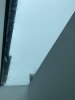 BF117342-CFC5-4728-B66E-1E0D280CE552.jpeg
