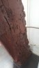 20200712_181206.jpg