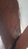 20200712_181236.jpg