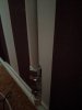 PXL_20201212_125233874.jpg