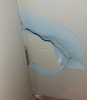 20201217_105743.jpg