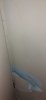 20201217_105752.jpg