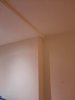 1608310594768537000348987430229.jpg