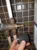 20201218_205609.jpg