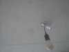 IMG_20201220_155337.jpg