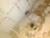 IMG_20201107_132618.jpg