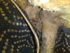 IMG_20201221_153256.jpg