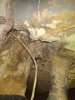 IMG_20201221_153420.jpg