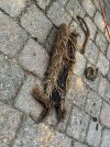 IMG_7908.jpeg