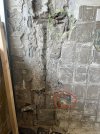 IMG_6447.jpeg IMG_6447.jpeg