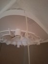 20250808_202044.jpg