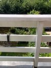 IMG_5482.jpeg IMG_5482.jpeg