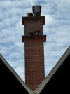 IMG_3932.jpeg