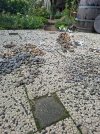 20250805_170300.jpg 20250805_170300.jpg