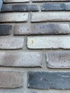 IMG_1130.jpeg