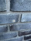 IMG_1131.jpeg