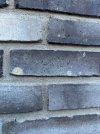 IMG_1129.jpeg