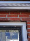 IMG_20250811_164400908.jpg