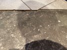 IMG_8118.jpeg