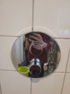 20250827_073618.jpg