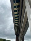 IMG_0739.jpeg IMG_0739.jpeg