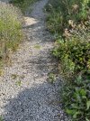 IMG_4485.JPEG IMG_4485.JPEG