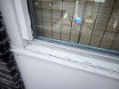 IMG_0986.jpeg