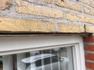 IMG_1665.jpeg IMG_1665.jpeg
