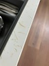 IMG_6344.jpeg