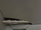 IMG_4135.jpeg