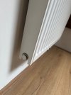 IMG_6590.jpeg